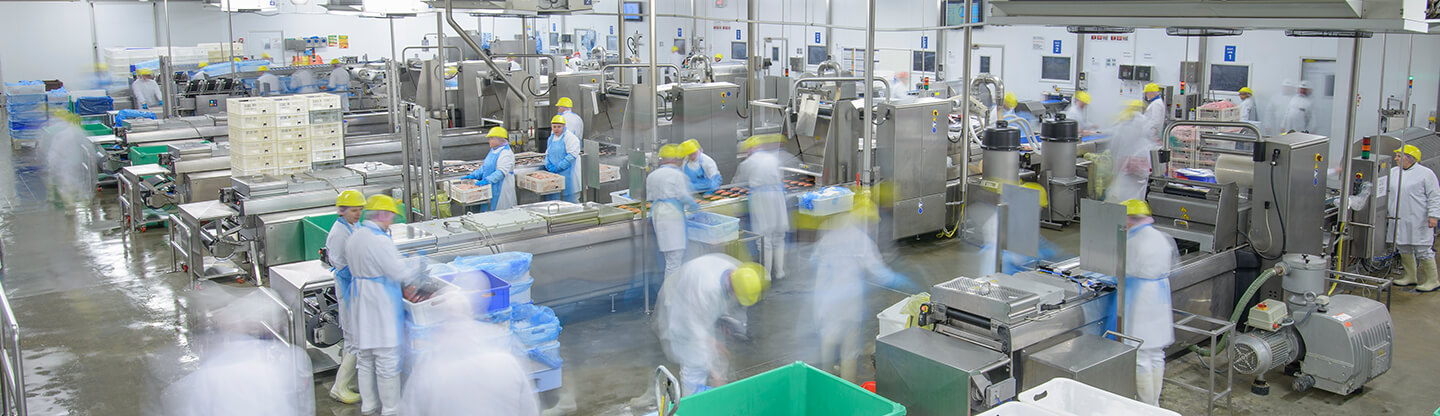 Canary foods
